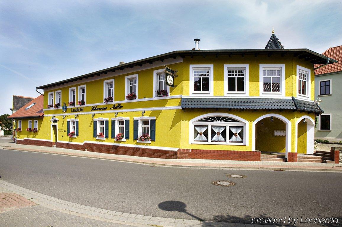 Landhotel Schwarzer Adler Suelzetal Экстерьер фото